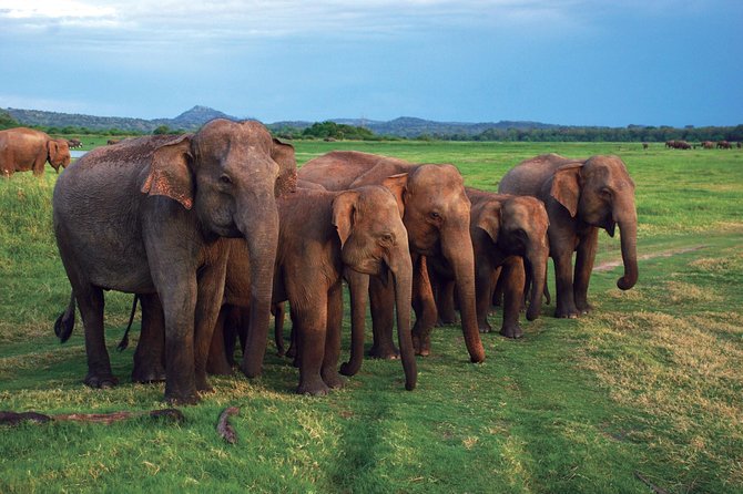 03 Nights in Amazing Sri Lanka - Who should book this route?