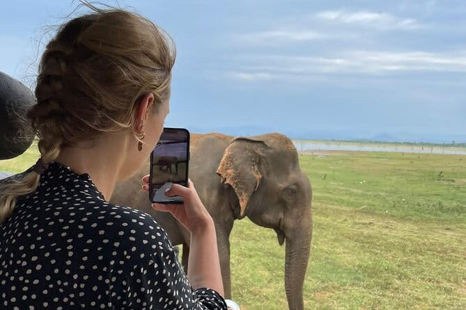 04 Hours Safari Jeep Tours - Key points at a glance