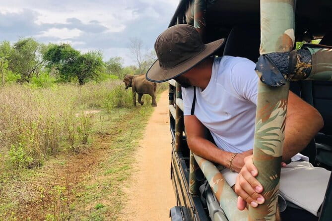 04 Hours Safari Jeep Tours - What happens before the four-hour safari