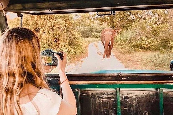 08 - Day Classic Tour with English speaking drive and Private luxury vehicles - Polonnaruwa and the elephant country around Sigiriya