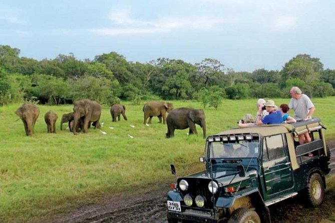 08 Nights in Magical Sri Lanka - Dambulla and Kandy shift the focus to faith and daily life