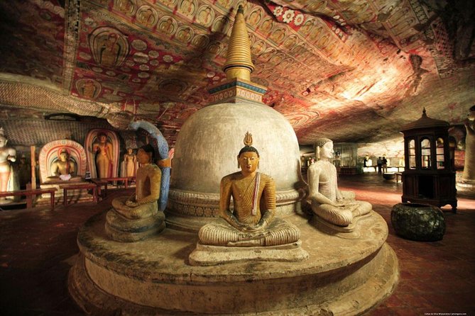 08 Nights in Magical Sri Lanka - Tea country and the famous train to Ella