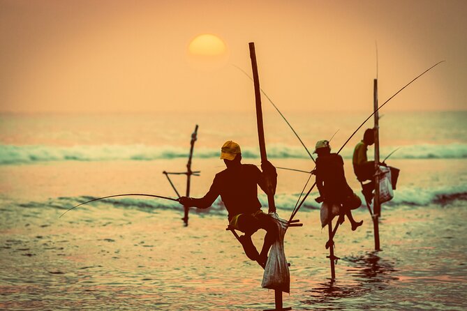 09 Days in Sri lanka - Major Attractions - Days 7 and 8: Two unhurried days in Mirissa