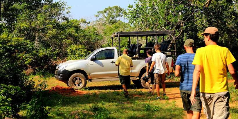1-Day Tour of Both Yala and Udawalawe National Parks - One long day, two very different parks