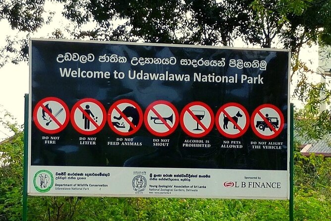 1 Day tour to Yala National Park or Udawalawe National Park - Entering Yala for a four-hour wildlife search