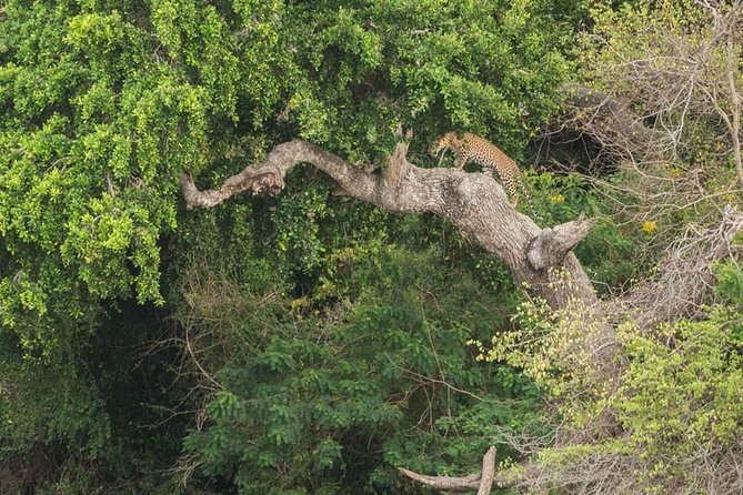 1 Day tour to Yala National Park or Udawalawe National Park - Food, tickets, and the real budget
