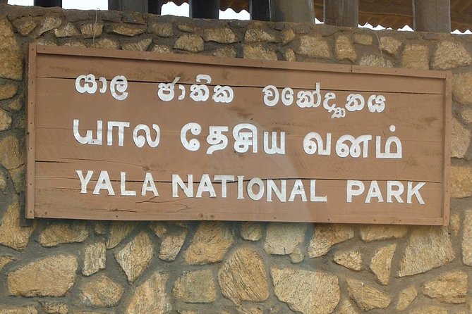1 Day tour to Yala National Park or Udawalawe National Park - What the private arrangement really gives you