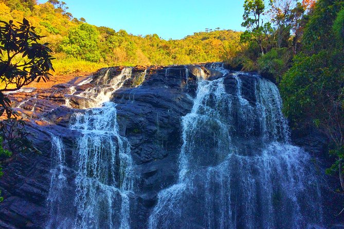 10 Day Explore Sri Lanka - Day 5: Gardens, tea, and colonial Nuwara Eliya