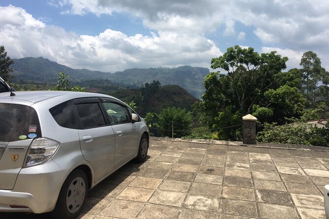 10-Day Sri Lanka Escape – Culture, Wildlife & 3 stars Hotels - Day 6: A dawn safari, then the coast at Mirissa