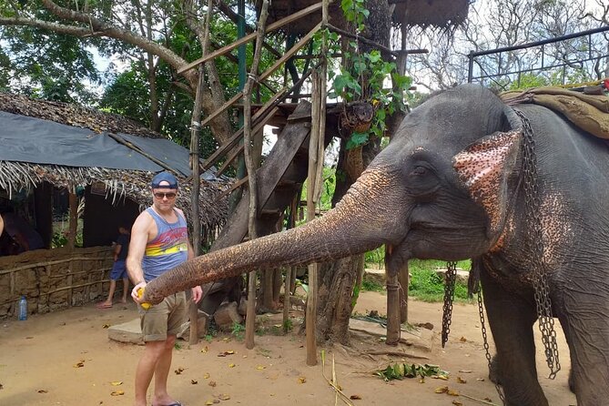 12 Days Sri Lanka Island Adventure and Wild Tour - Pace, hotels, and practical trade-offs