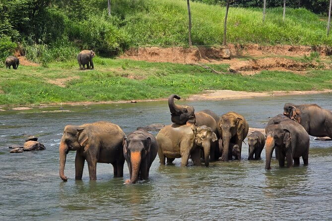 12 Days Tour Grand Discovery of Sri Lanka - A big Sri Lankan circuit in 12 days