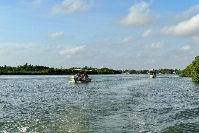 12 Days Tour Grand Discovery of Sri Lanka - Tea country and the train to Ella