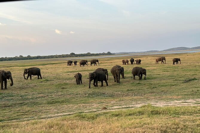 12 Days Tour Grand Discovery of Sri Lanka - Negombo lagoons and Colombo on arrival
