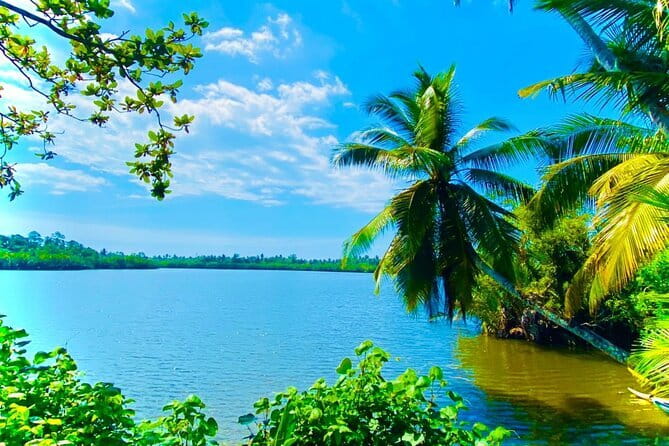 14 Days/ 13 Nights -Sri Lanka Tour on Culture, Wildlife & Beaches - Kandy’s temple, gardens, and evening dance