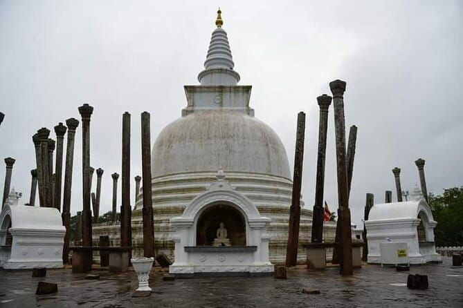 14 Days/ 13 Nights -Sri Lanka Tour on Culture, Wildlife & Beaches - Sinharaja, turtles, mangroves, and Colombo