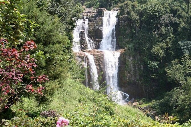 2 Day Tour of Yala & Ella with Hill Country Scenic Train Ride - All Inclusive - What the $340 price really covers