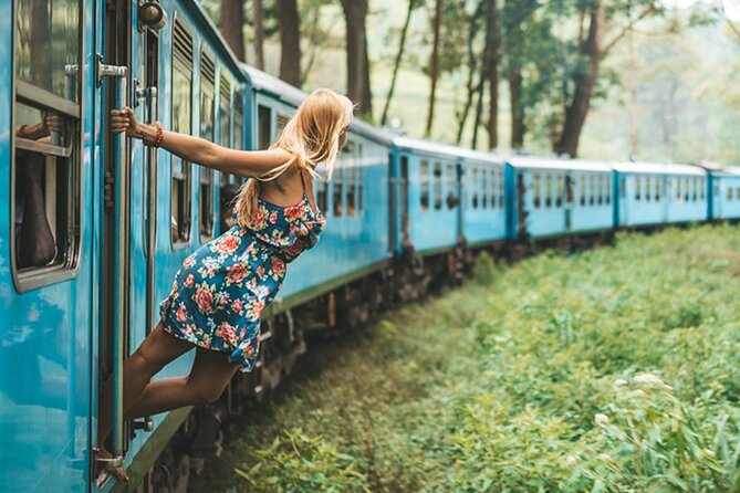2 Day Tour of Yala & Ella with Hill Country Scenic Train Ride - All Inclusive - Nine Arch Bridge and the Ella railway setting