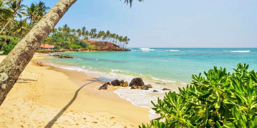 2-Day Whale Watching & Southern Sri Lanka Tour - Colombo to Bentota: a busy first morning