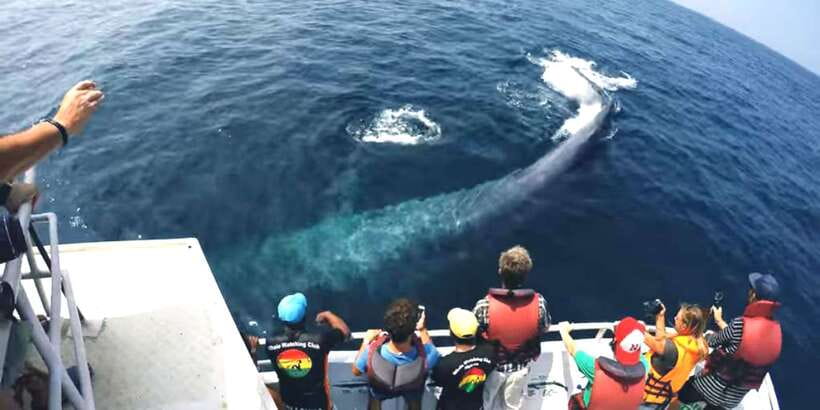 2-Day Whale Watching & Southern Sri Lanka Tour - Bentota River by slow boat