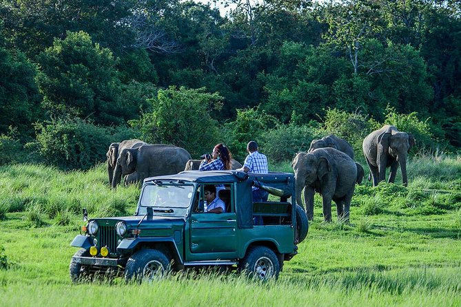 2 Days Tour of Double Safari (Yala & Udawalawe) - All Inclusive - Why combine Yala and Udawalawe in two days