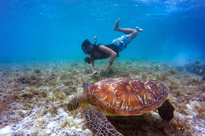 2 hours Private Snorkeling tour in Unawatuna - Key points to know before booking