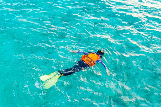 2 hours Private Snorkeling tour in Unawatuna - How much value do you get for $35?