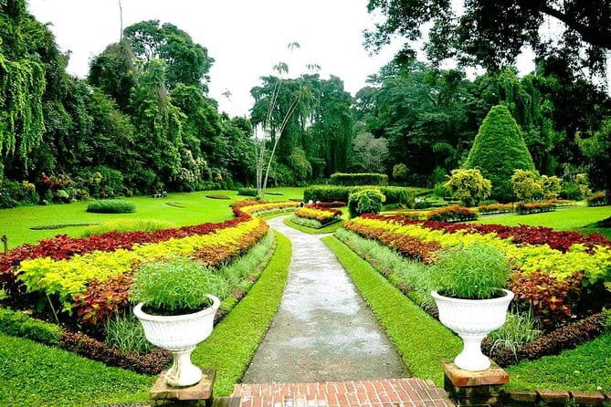 2 Night /3 Days-Highlights of Sri Lanka (Days Can be extended) - Who should book this Sri Lanka short tour?