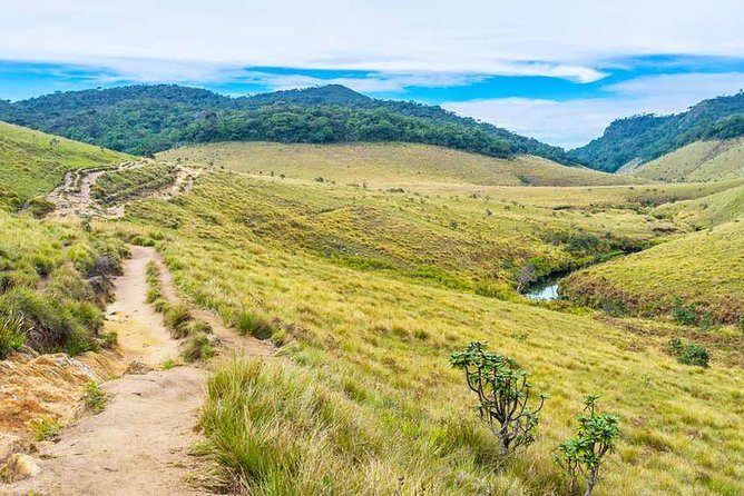 3 Days Nature and Chill Tour of Ella, Nuwara Eliya and Haputale - The guide makes a difference here