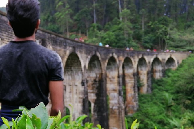 3 Days Nature and Chill Tour of Ella, Nuwara Eliya and Haputale - Should you book it?