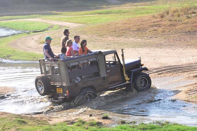 3 Days Private Tour of Yala Safari/ Ella/ Kandy - All Inclusive - Peradeniya gardens and Kandy viewpoints