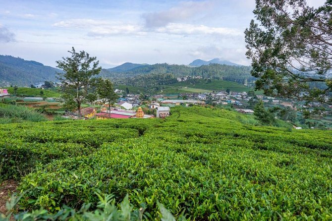 3 Days Tour to Kandy, Nuwara Eliya & Sigiriya - A village day near Sigiriya