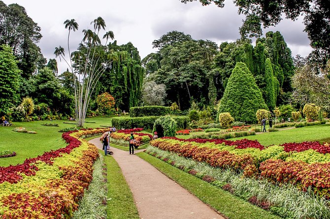 3 Days Tour to Kandy, Nuwara Eliya & Sigiriya - What the $400 price really covers