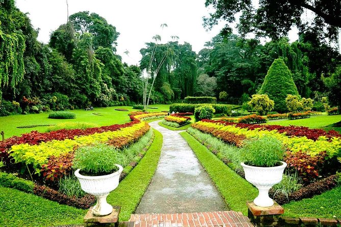 3 Days Tour to Kandy Nuwara Eliya & Sigiriya from Colombo - Who should book this three-day route?