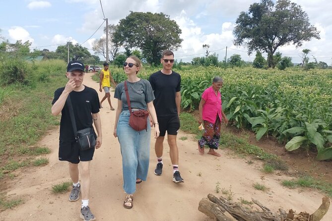 4 Days Amaizing Classic Mini Tour Sri Lanka - Key things to know before booking