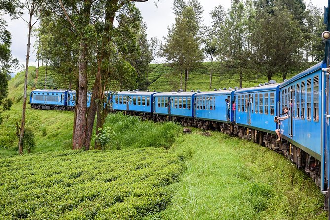 4 Days Tour to Kandy, Sigiriya & Nuwara Eliya - Day 1: spices, Kandy’s sacred temple, and a cultural show