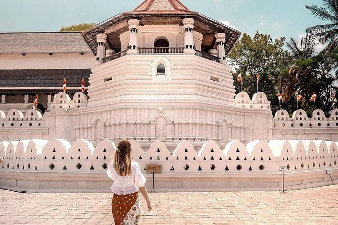 4 Days Tour to Kandy, Sigiriya & Nuwara Eliya - Day 2: Dambulla caves, Sigiriya Rock, and a Minneriya safari