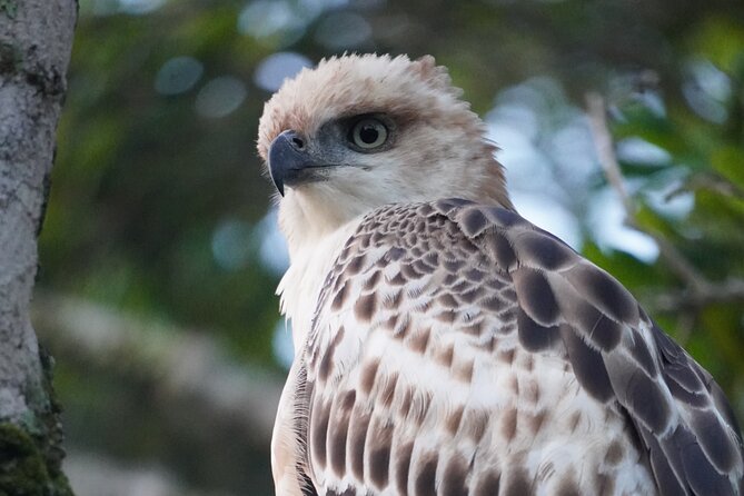 4 Hours Private Yala Safari Day Tour - The strongest part of the service