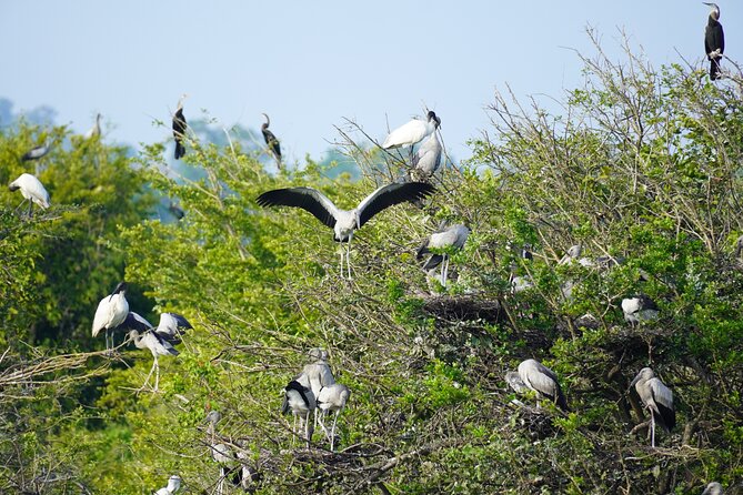 4 Hours Private Yala Safari Day Tour - Morning or evening: choosing your safari time