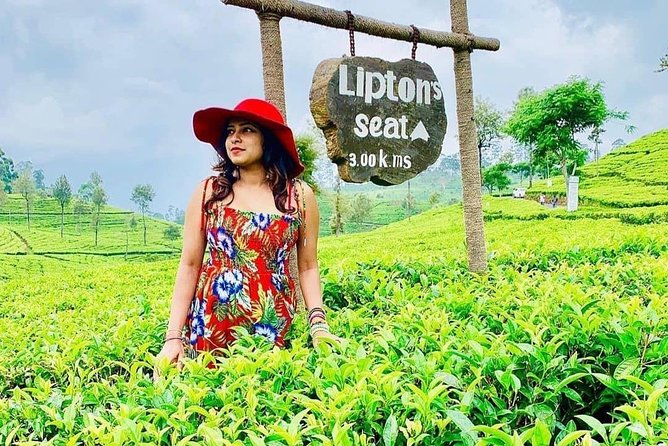 5 DAYS BUDGET TOUR package in Sri Lanka - Day two: Ambewela and the cool hill country