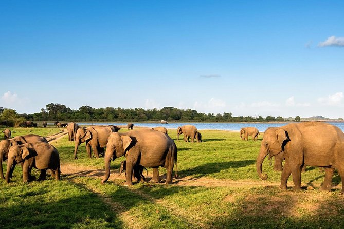 6 Days Nature And Culture Tour - What the $118 price really covers