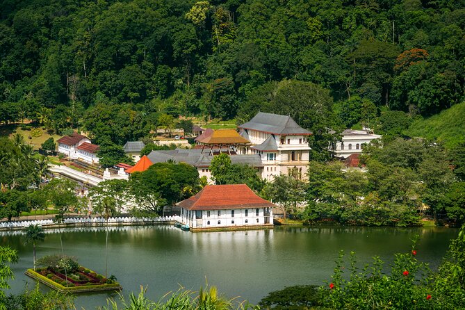 6 Days Private Vehicle with English Speaking Chauffeur - Nuwara Eliya and Ella in the hill country