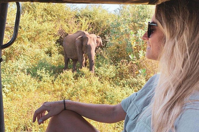 7 Days Tour in Sri Lanka Hotels with Breakfast and Luxury Car - Day 5: choose your level of hiking in Ella
