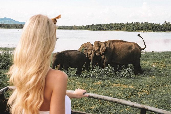 7 Nights Private Tour Of Sri Lanka - Day 4: Gardens, waterfalls, and Ceylon tea