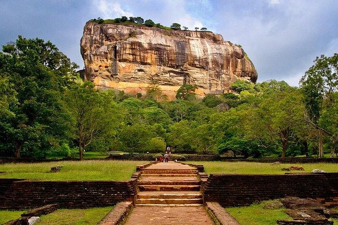 7 Nights Private Tour Of Sri Lanka - Day 7: Mangroves, turtles, and Colombo