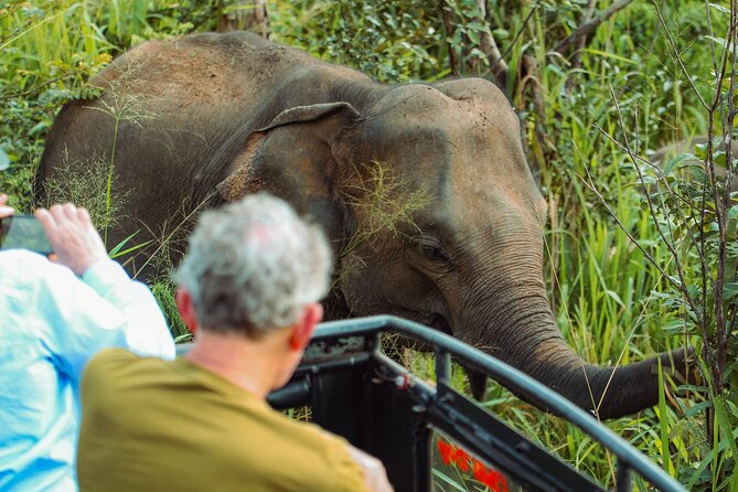 8 Day Private Sri Lanka Tour with Chauffeur - Eight days from airport welcome to Colombo departure