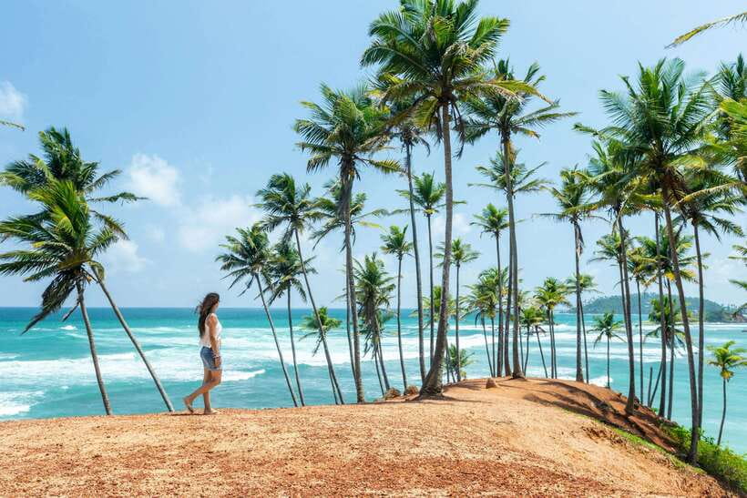 8-Day Sri Lanka Private Round Tour Hotels, Meals, Car, Guide - An ambitious route from Colombo to the coast