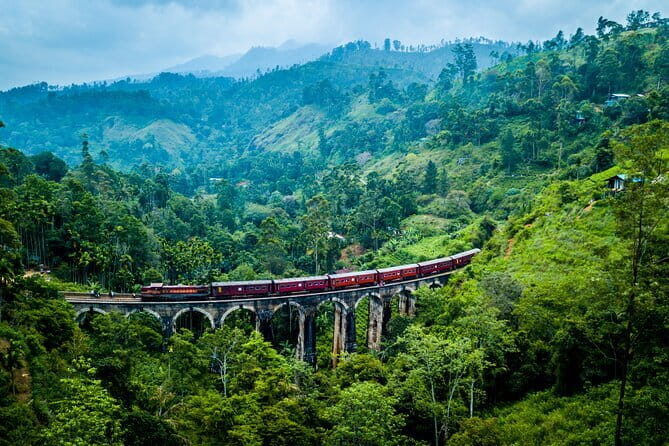8 Days/ 7 Nights - Sri Lanka’s Culture Wildlife and Beaches - Day 3: Wasgamuwa and Kandy’s sacred temple