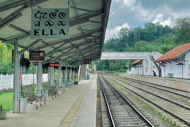 8 Days and 7 Nights Sri Lanka Tour - Day 3: Gardens, tea, and Nuwara Eliya’s colonial details