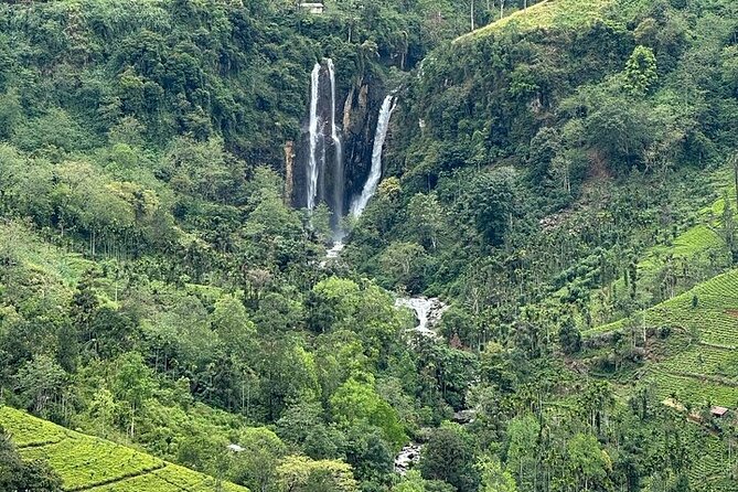 8 Days and 7 Nights Sri Lanka Tour - Day 7: Whales, surfing, and Coconut Tree Hill