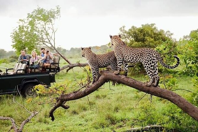 8 Days Private Guided Tour in Sri Lanka with accommodation (BB) - Day 5: A second day in Ella